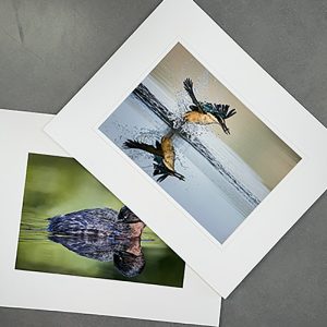 Matted Fine Art Prints