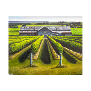 Te Mata – Limited Edition Print