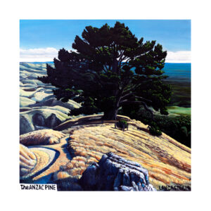 The Anzac Pine – Limited Edition Print