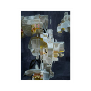 Flux 31